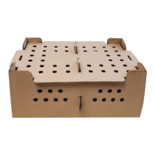a 50 count poultry shipping box
